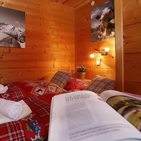 Mountain Hut Comfortable Holiday Holiday home Piesendorf